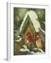 Snowy Birdhouse-William Vanderdasson-Framed Giclee Print