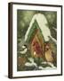 Snowy Birdhouse-William Vanderdasson-Framed Giclee Print