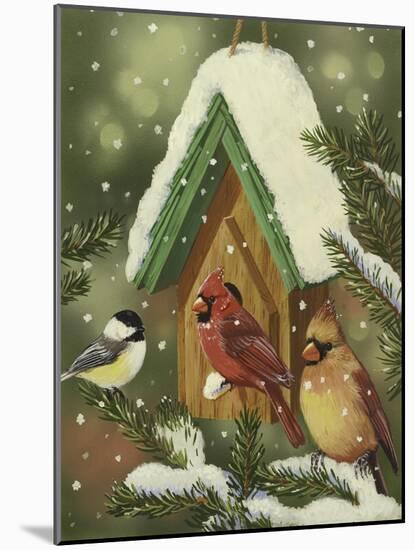 Snowy Birdhouse-William Vanderdasson-Mounted Giclee Print