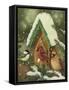 Snowy Birdhouse-William Vanderdasson-Framed Stretched Canvas