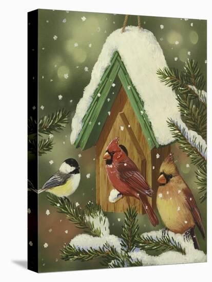 Snowy Birdhouse-William Vanderdasson-Stretched Canvas