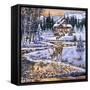 Snowy Cabin-The Macneil Studio-Framed Stretched Canvas