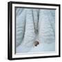 Snowy Cliff-Micha Pawlitzki-Framed Photographic Print