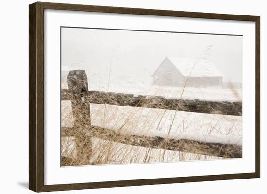 Snowy Day-null-Framed Art Print