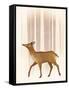 Snowy Doe-Ryan Fowler-Framed Stretched Canvas