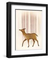 Snowy Doe-Ryan Fowler-Framed Art Print