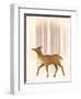 Snowy Doe-Ryan Fowler-Framed Art Print