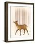 Snowy Doe-Ryan Fowler-Framed Art Print