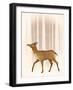 Snowy Doe-Ryan Fowler-Framed Art Print