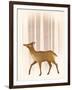 Snowy Doe-Ryan Fowler-Framed Art Print