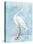 Snowy Egret I-Melissa Wang-Stretched Canvas