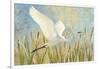 Snowy Egret in Flight v2-Kathrine Lovell-Framed Art Print