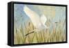 Snowy Egret in Flight v2-Kathrine Lovell-Framed Stretched Canvas