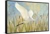 Snowy Egret in Flight v2-Kathrine Lovell-Framed Stretched Canvas