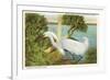 Snowy Egret, Myakka River State Park, Florida-null-Framed Premium Giclee Print