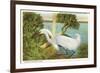 Snowy Egret, Myakka River State Park, Florida-null-Framed Premium Giclee Print