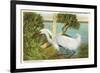 Snowy Egret, Myakka River State Park, Florida-null-Framed Premium Giclee Print