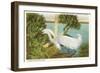 Snowy Egret, Myakka River State Park, Florida-null-Framed Art Print