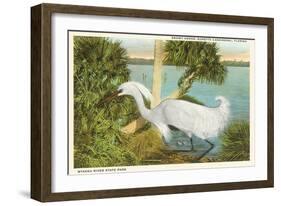 Snowy Egret, Myakka River State Park, Florida-null-Framed Art Print