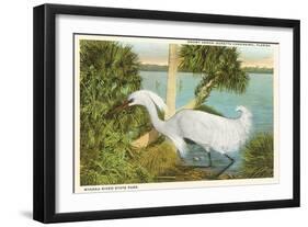 Snowy Egret, Myakka River State Park, Florida-null-Framed Art Print