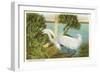 Snowy Egret, Myakka River State Park, Florida-null-Framed Art Print