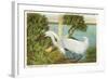 Snowy Egret, Myakka River State Park, Florida-null-Framed Art Print