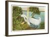 Snowy Egret, Myakka River State Park, Florida-null-Framed Art Print