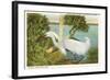 Snowy Egret, Myakka River State Park, Florida-null-Framed Art Print