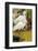 Snowy Egret with fish, Ding Darling National Wildlife Refuge, Sanibel Island, Florida.-William Sutton-Framed Photographic Print