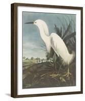 Snowy Egret-James Audubon-Framed Giclee Print
