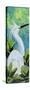 Snowy Egret-Kestrel Michaud-Stretched Canvas