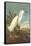 Snowy Egret-John James Audubon-Framed Stretched Canvas