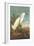 Snowy Egret-John James Audubon-Framed Art Print