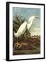 Snowy Egret-John James Audubon-Framed Art Print