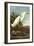 Snowy Egret-John James Audubon-Framed Art Print