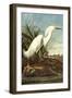 Snowy Egret-John James Audubon-Framed Art Print