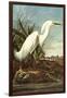 Snowy Egret-John James Audubon-Framed Art Print