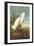 Snowy Egret-John James Audubon-Framed Art Print