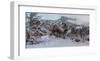 Snowy Elk-Steve Hunziker-Framed Art Print