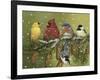 Snowy Feathered Friends-William Vanderdasson-Framed Giclee Print