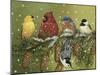 Snowy Feathered Friends-William Vanderdasson-Mounted Giclee Print