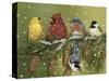 Snowy Feathered Friends-William Vanderdasson-Stretched Canvas