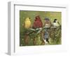 Snowy Feathered Friends-William Vanderdasson-Framed Giclee Print