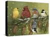 Snowy Feathered Friends-William Vanderdasson-Stretched Canvas