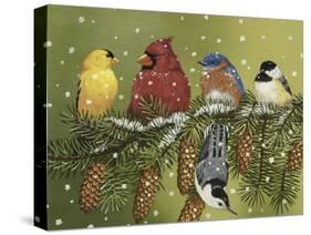 Snowy Feathered Friends-William Vanderdasson-Stretched Canvas