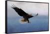 Snowy Flight Bald Eagle-Jai Johnson-Framed Stretched Canvas