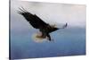 Snowy Flight Bald Eagle-Jai Johnson-Stretched Canvas