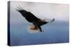 Snowy Flight Bald Eagle-Jai Johnson-Stretched Canvas