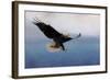 Snowy Flight Bald Eagle-Jai Johnson-Framed Giclee Print