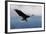 Snowy Flight Bald Eagle-Jai Johnson-Framed Giclee Print